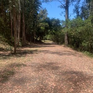 Meet your Posher, Alfredo